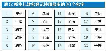 起名字可爱男孩名字大全（可爱男孩名字洋气）