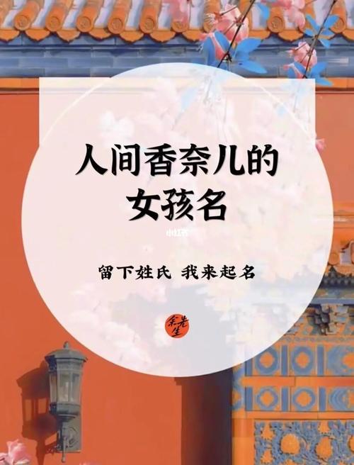 给宝宝起名字小说（小说里宝宝好听的名字）