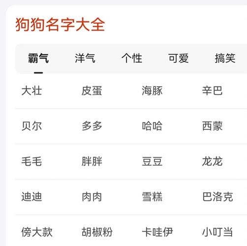狗的名字大全起名（狗的名字大全霸气有内涵）