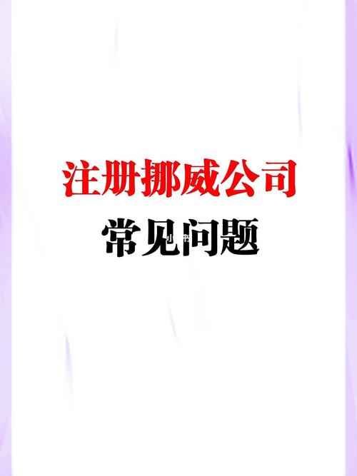 挪威公司起名字要求什么（挪威注册公司）