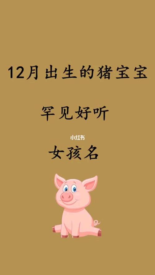 今年十二月份猪宝宝起名字（十二月份出生猪宝宝乳名）