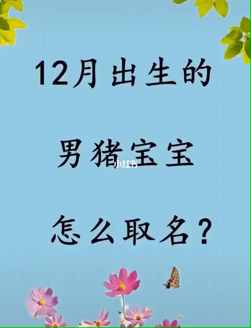 今年十二月份猪宝宝起名字（十二月份出生猪宝宝乳名）