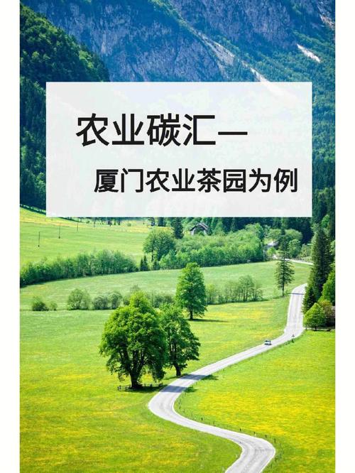 碳汇公司起名字怎么样（碳汇有限公司）