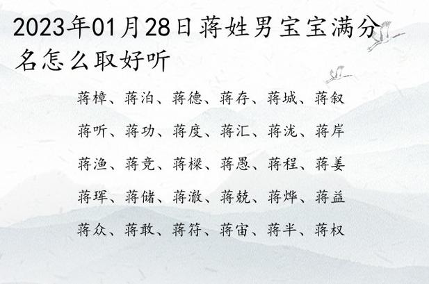 蒋虎宝宝怎么起名字（蒋宝宝起名结果）