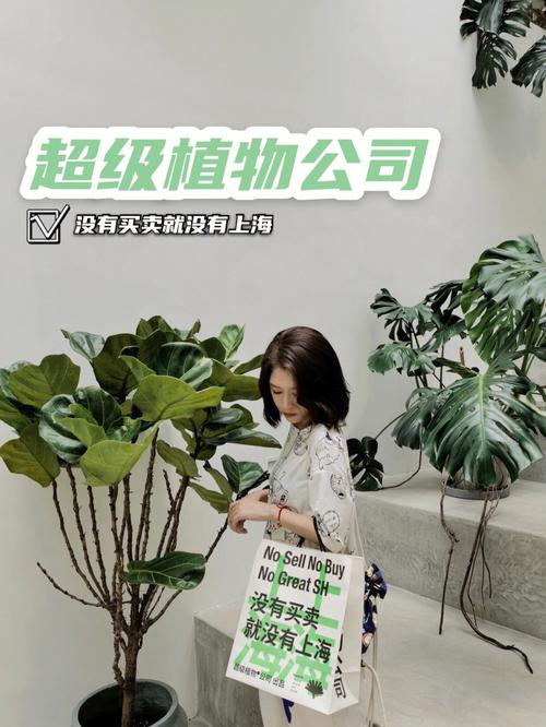 植物生产类公司起名字（跟植物有关的公司名）