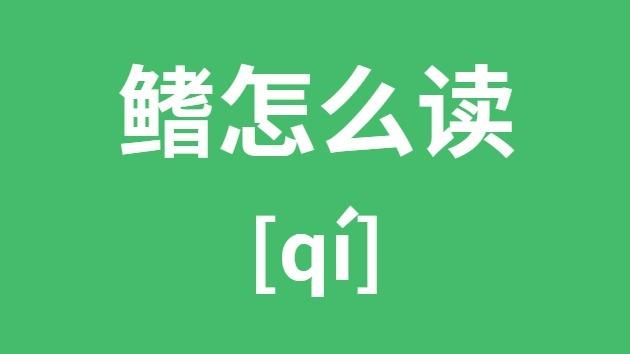 鳍怎么读_鳍怎么读拼音