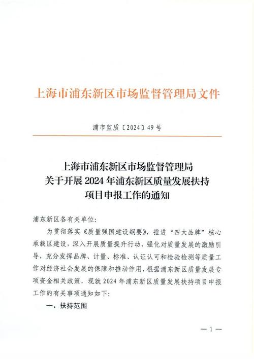 政府扶持项目_2024政府扶持项目