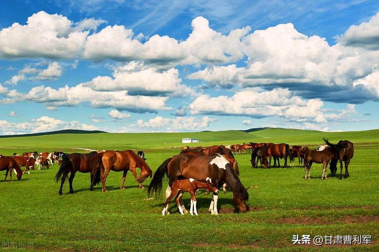 中国著名旅游景点_中国著名旅游景点排行榜