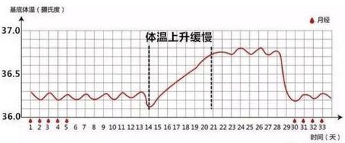 怀孕初期体温_怀孕初期体温一般在多少度