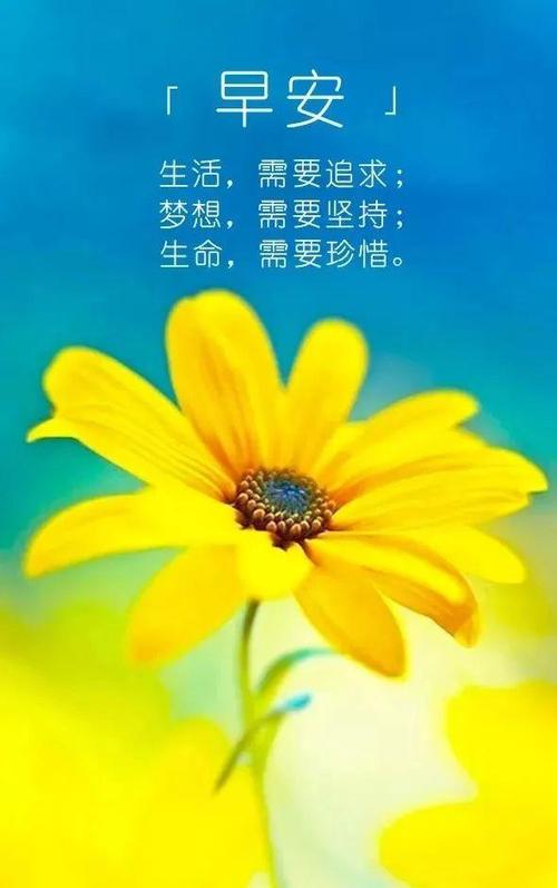 祝福语句简短唯美_祝福语句简短唯美8个字