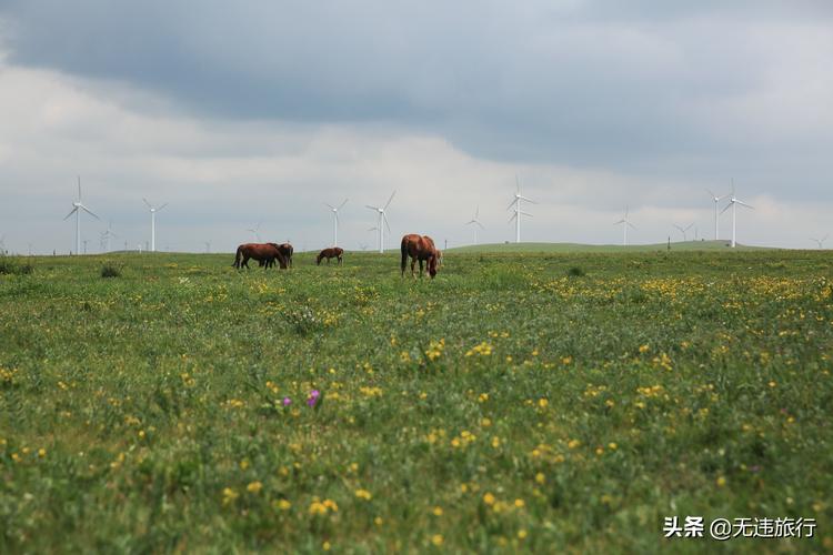 乌兰察布旅游景点大全_乌兰察布旅游景点大全排名