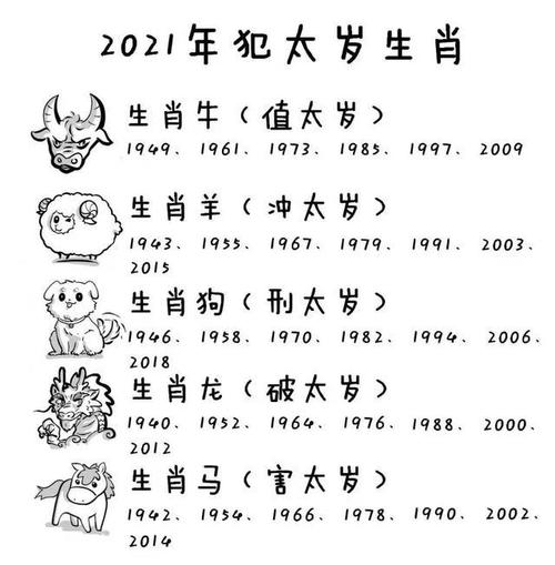 2021是什么年属什么年_2021是什么年属什么年什么命