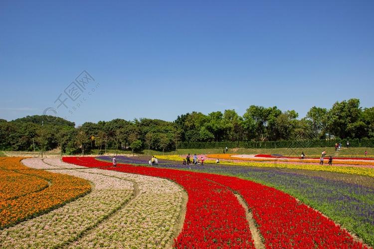 桌面背景图片风景_桌面背景图片素材