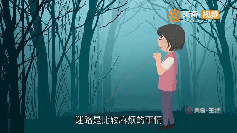 梦见自己迷路_梦见自己迷路了是什么意思