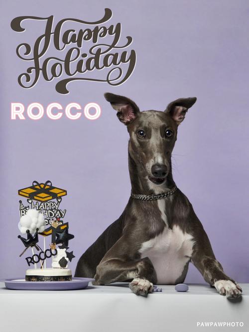 rocco_rocco读音