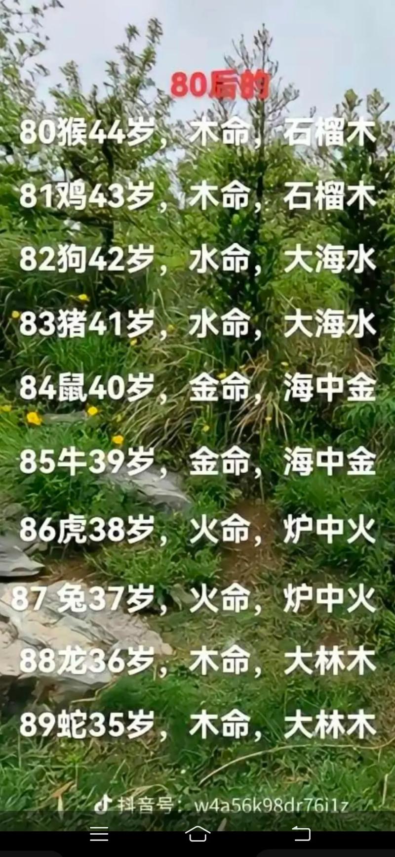 81年石榴木命公司取名_81年石榴木命公司取名三个字