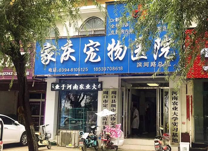 兽医起名字大全（兽医店名字发过来全）