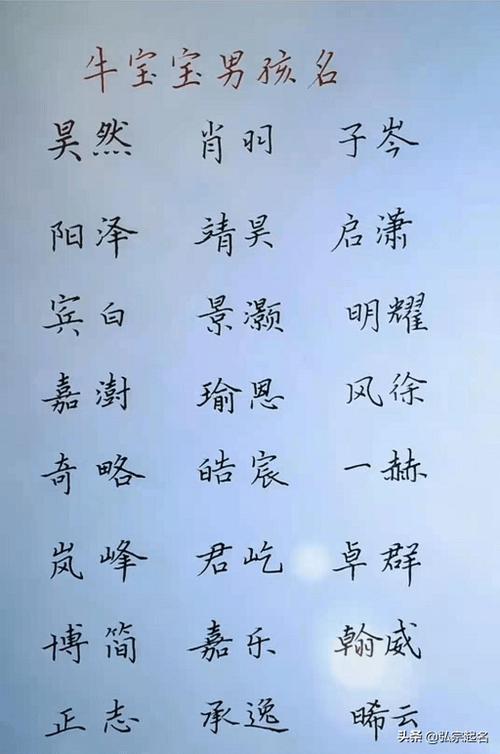 天字取名大全男孩名字_天字取名大全男孩名字寓意