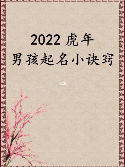 2010属虎男孩取名大全_2010属虎男孩取名大全及寓意