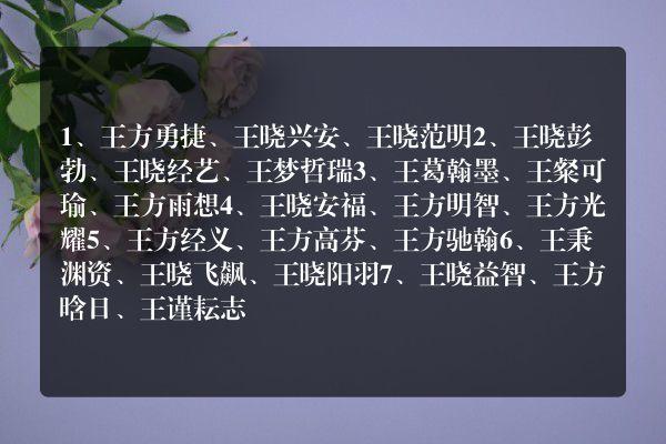 王家男孩起名字大全_王家男孩起名字大全四个字