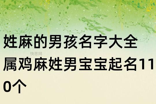 麻姓男宝宝起名的大全_麻姓男宝宝起名的大全名字