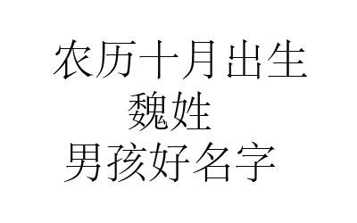 给姓魏的男宝宝取名_给姓魏的男宝宝取名字