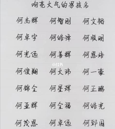 两个姓何的宝宝名字_两个姓何的宝宝名字大全