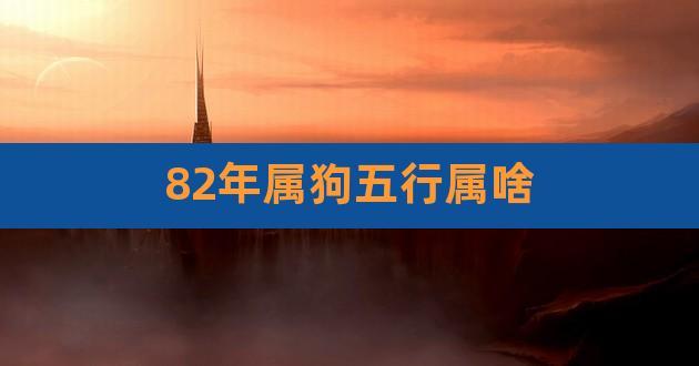 82年属狗五行属水公司名字_82年属狗五行属水公司名字在线观看