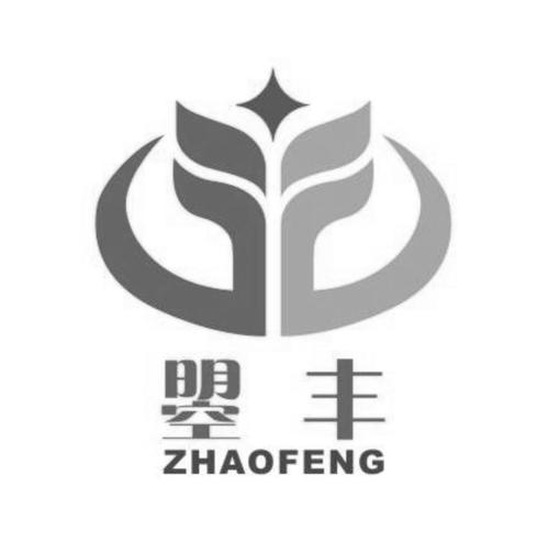 带丰字公司起名_带丰字公司起名高端霸气