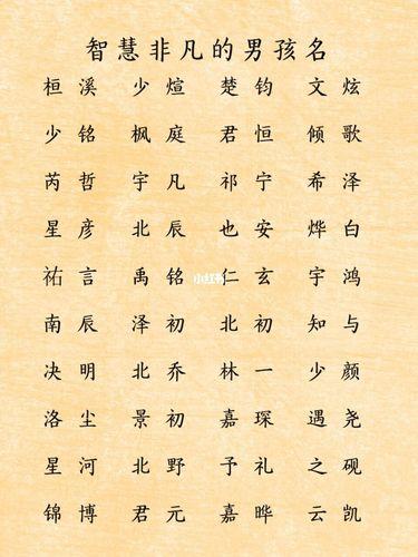 白姓氏取名字大全男孩_白姓氏取名字大全男孩兔年