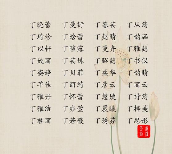 丁女宝宝名字_丁女宝宝名字大全