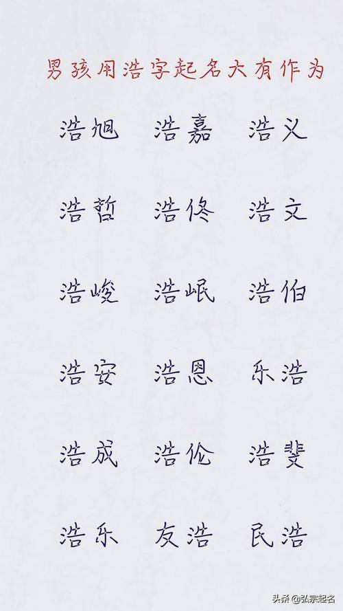 带浩的男孩名字大全洋气_带浩的男孩名字大全洋气两个字