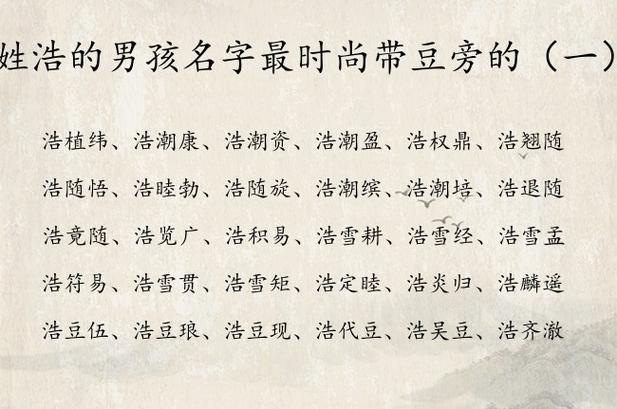 带浩的男孩名字大全洋气_带浩的男孩名字大全洋气两个字