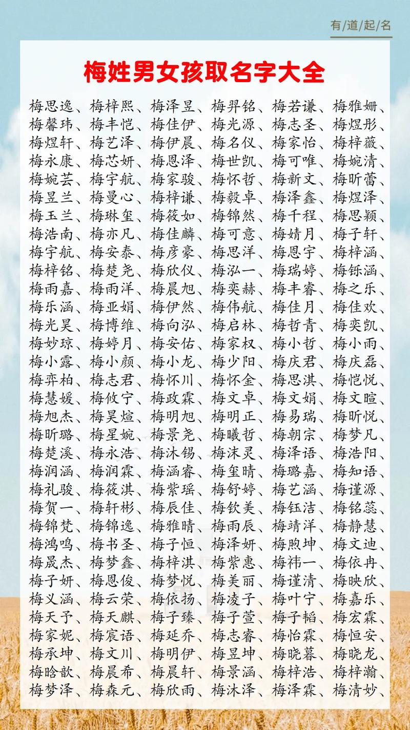 梅姓宝宝取名_梅姓宝宝取名字