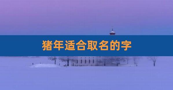 83年属猪开公司取名_83年属猪开公司取名宜用字大全