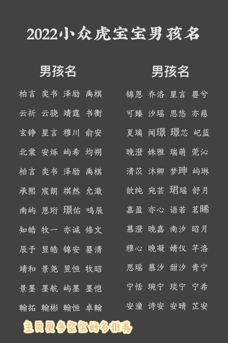 2022虎宝宝最火名字男孩_2022虎宝宝男孩起名字