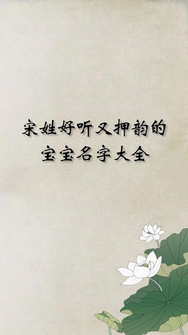 宝宝起名姓宋_宝宝名字姓宋