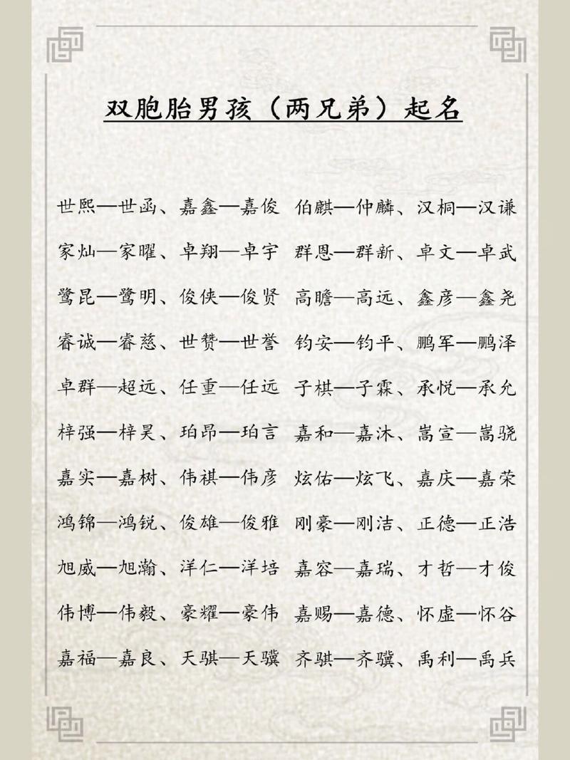 宝宝取名双胞胎男孩_宝宝取名双胞胎男孩名字