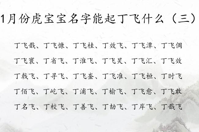 丁姓宝宝名字大全_丁姓宝宝名字大全集