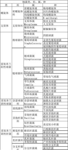 常见细菌名称大全_常见细菌名称大全有图