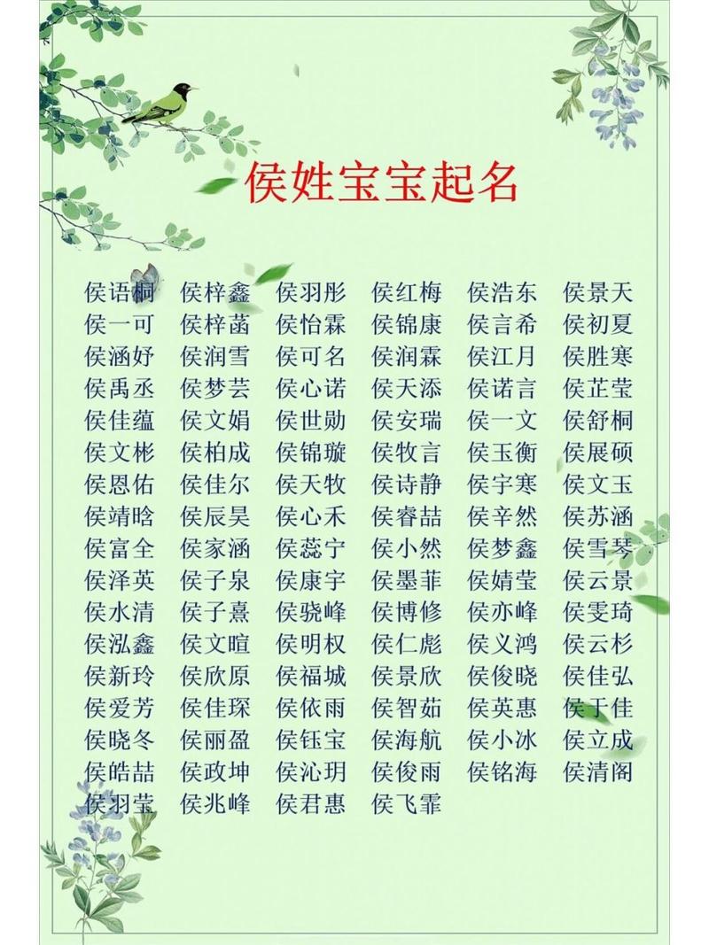 侯姓男宝名字大全_侯姓男宝宝名字大全