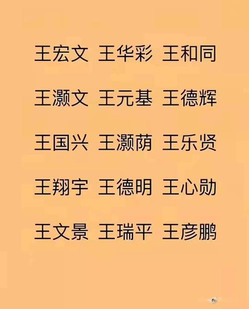 宝宝起名姓王男孩_宝宝起名姓王男孩名字大全