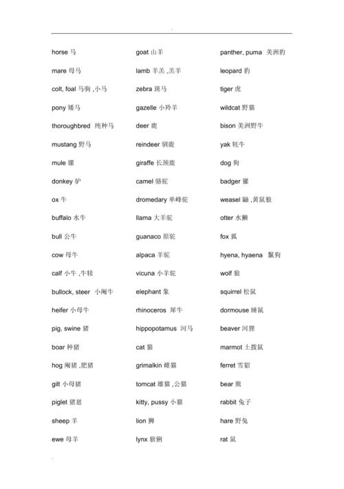 动物名字大全名称_动物名字大全名称大全