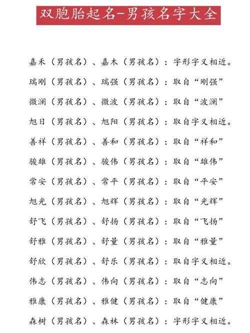 2021男孩名字洋气双胞胎_2021男孩名字洋气双胞胎取名