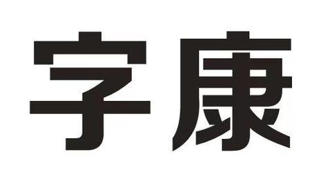 带康字的公司取名大全_带康字的公司取名大全四个字