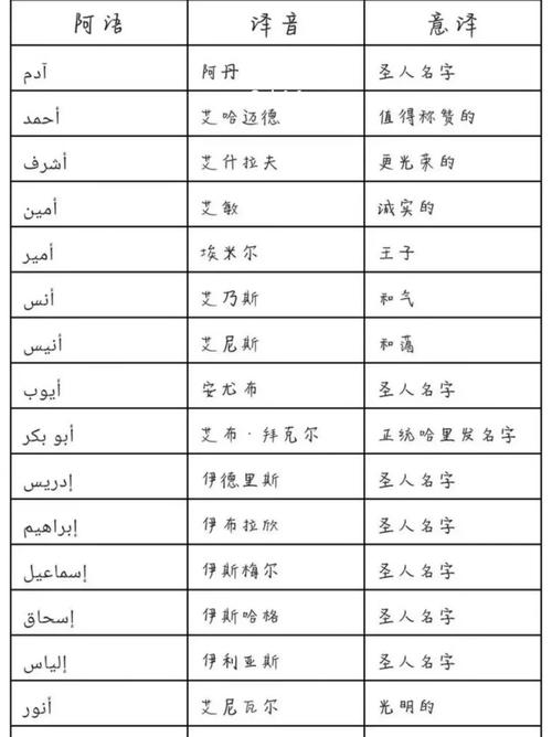 阿拉伯男孩名字大全集_阿拉伯男孩名字大全集中文