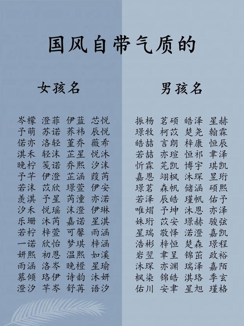 两个男孩起名_两个男孩起名字