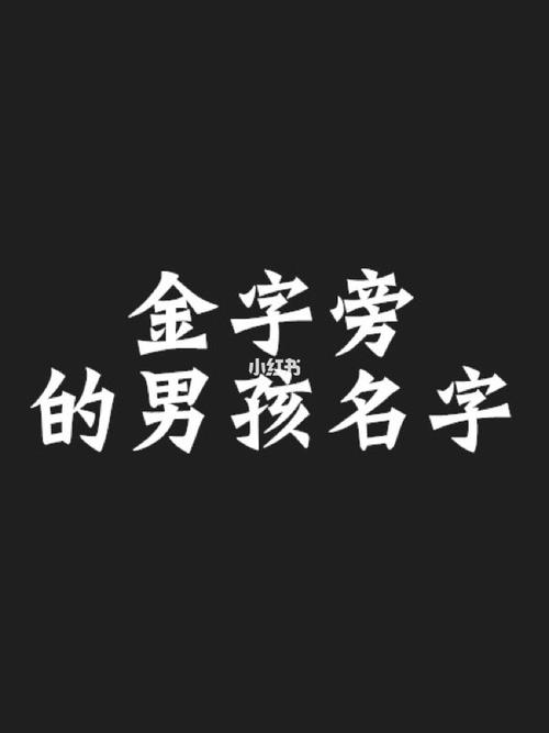 金字旁的公司名字_金字旁的公司名字大全集带财气聚人气公司名称