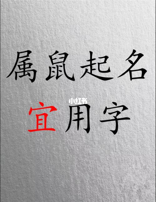 72年属鼠公司起名（72年属鼠公司起名字大全）