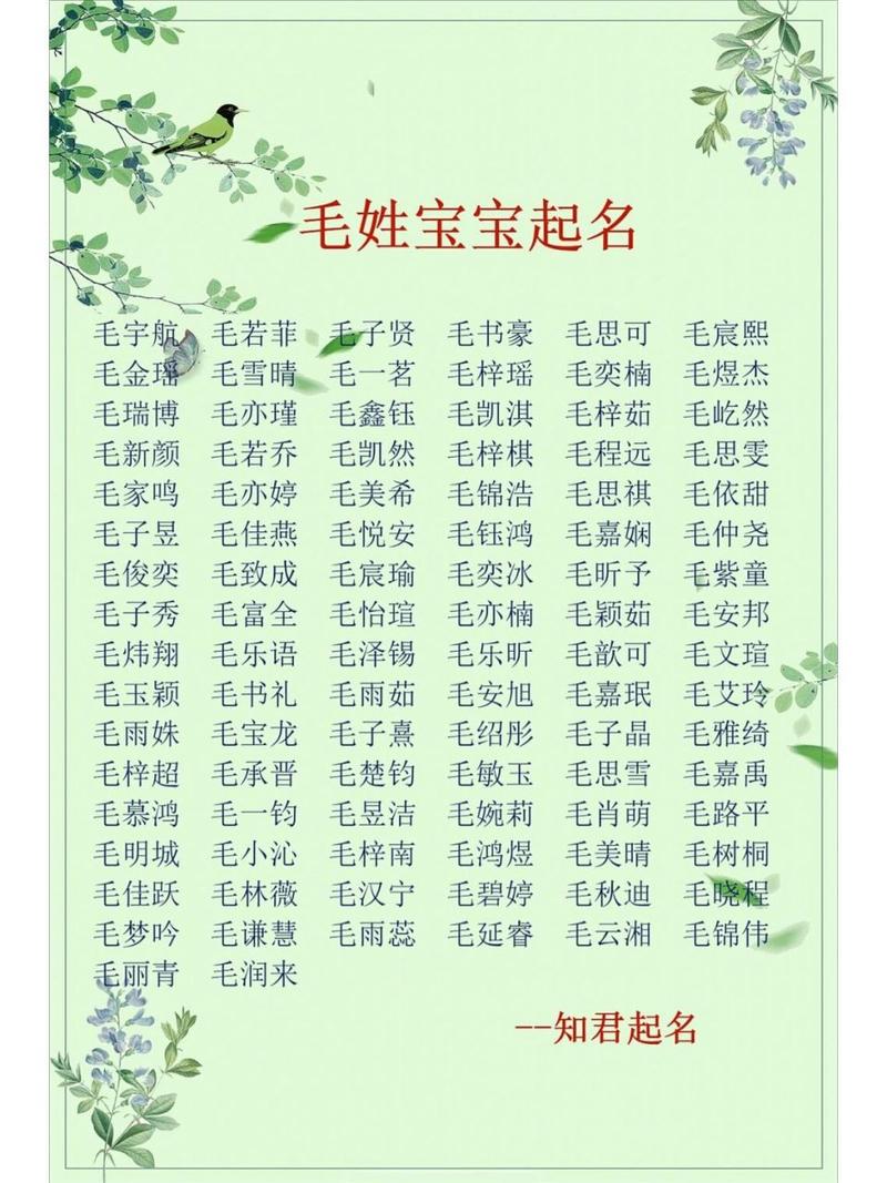 毛姓起名男孩名字好听_毛姓起名男孩名字大全